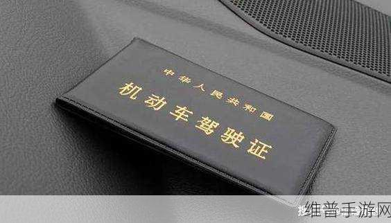 2025年驾驶证新规全面解读，手游玩家出行攻略新升级
