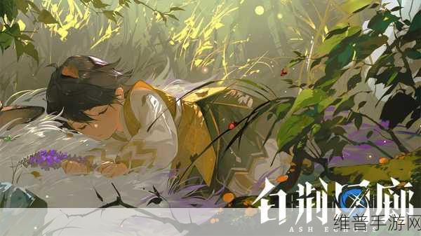 白荆回廊深度解析，策略RPG的魅力与玩法指南