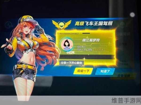 QQ飞车手游高级驾照全攻略，征服11城赛道，揭秘必胜秘籍与技巧