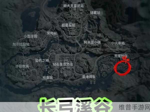 三角洲行动手游攻略，揭秘阿米亚小镇隐藏彩蛋箱位置