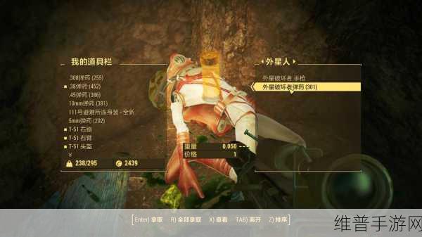辐射4手游攻略，深入解析畏缩与踉跄名词含义