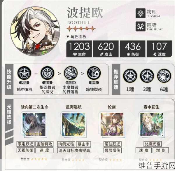 崩坏星穹铁道雷系角色全面培养攻略，装备选择与培养策略