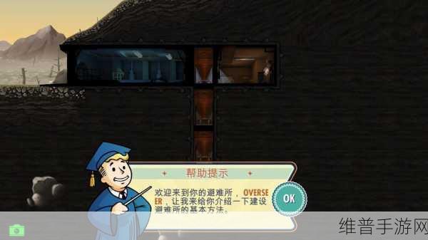 辐射避难所手游攻略，揭秘生育能力高的秘密