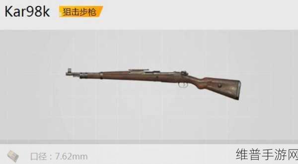 和平精英，揭秘那些被新手嫌弃却非常好用的冷门枪械