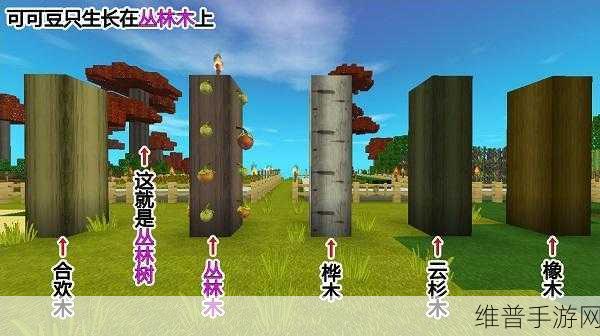 迷你世界可可豆种植指南及成熟过程全攻略