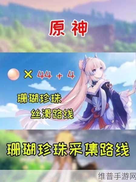 原神珊瑚真珠购买指南与全面攻略