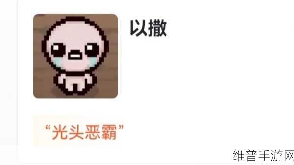 以撒的结合手游安装与中文设置全攻略