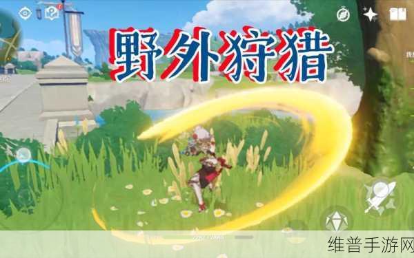 原神狩猎攻略,如何高效捕获多种动物