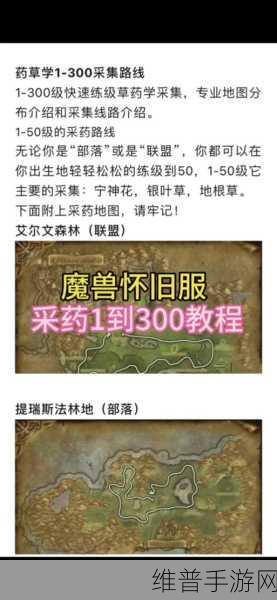 探秘魔兽世界,深入体验草药采集的奇幻之旅