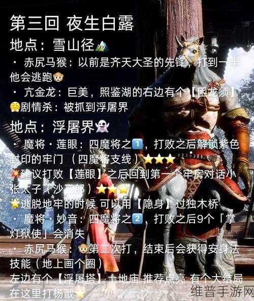 黑神话，悟空第三章深度攻略，揭秘马哥在小西天的隐秘位置