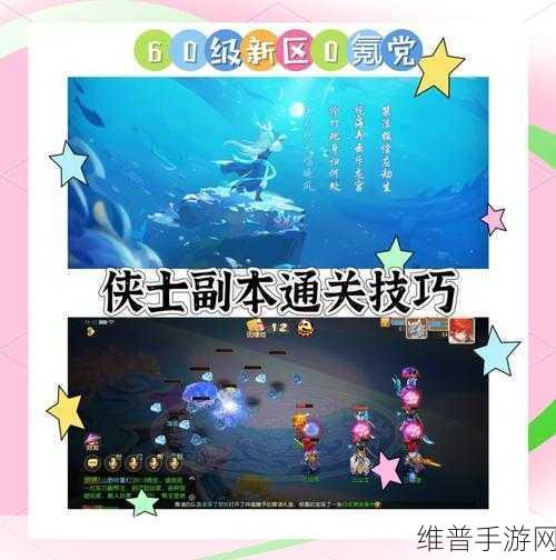 梦幻西游手游攻略，深入解析60级戒指的获取与意义
