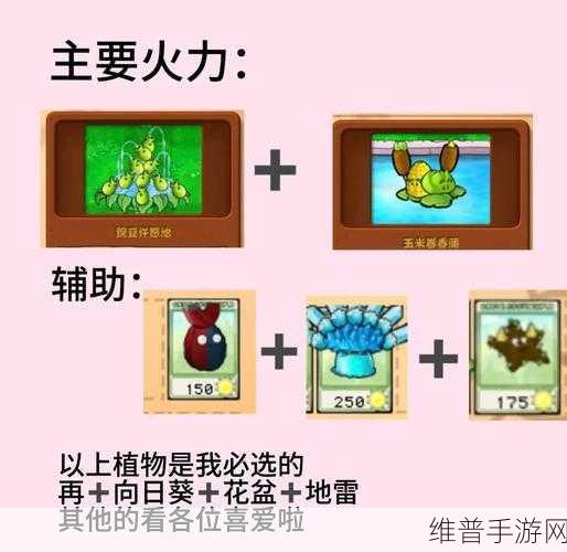 植物大战僵尸功夫时代第11关轻松通关秘籍