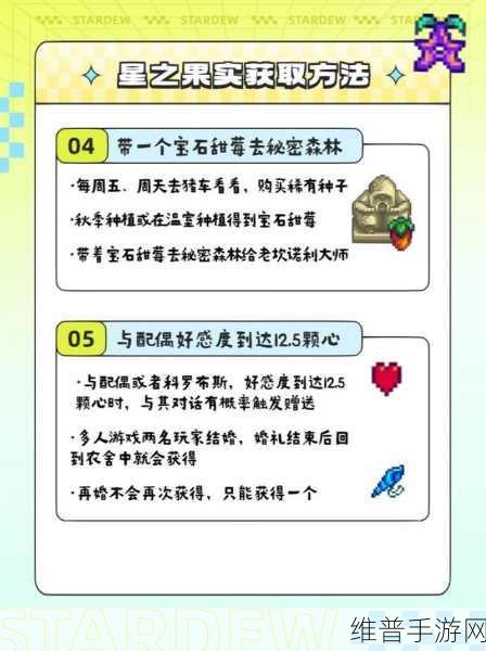 星露谷物语,全星之果实获取途径深度解析