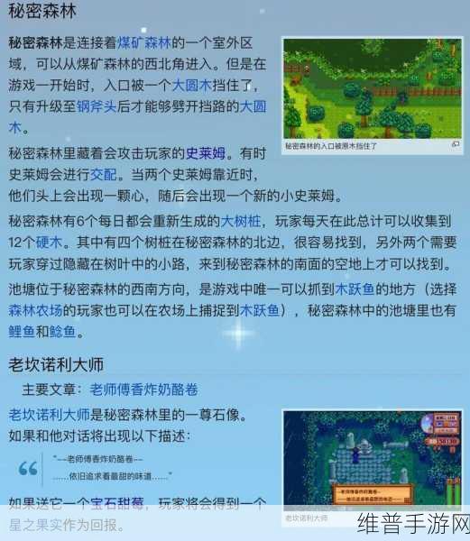 星露谷物语,全星之果实获取途径深度解析