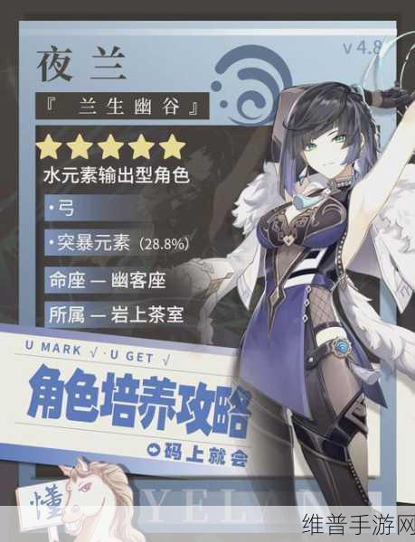 原神夜兰圣遗物词条选择深度攻略