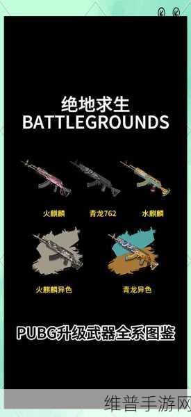 绝地求生全出击，烟雾弹战术下的空投安全获取指南
