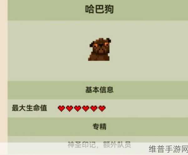 再刷一把宠物获取全攻略，解锁你的冒险伙伴