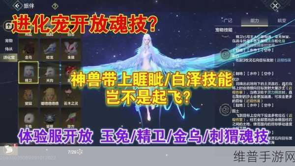 妄想山海PVP攻略，对游侠的挑战与策略