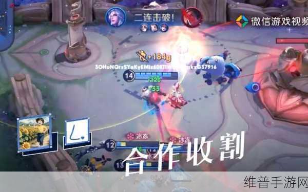 王者荣耀深度攻略，你所不知道的29条冷知识大揭秘