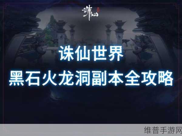 梦幻新诛仙深度攻略，揭秘一条带石头的奥秘