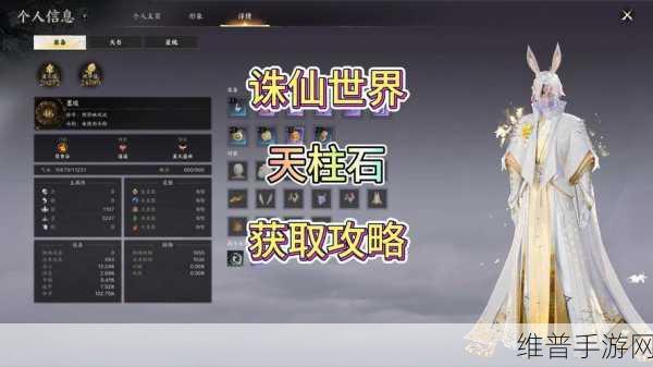 梦幻新诛仙深度攻略，揭秘一条带石头的奥秘