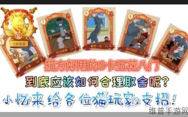猫和老鼠手游深度攻略，猫咪技能抽卡难题全解析——为何难以抽到心仪技能？