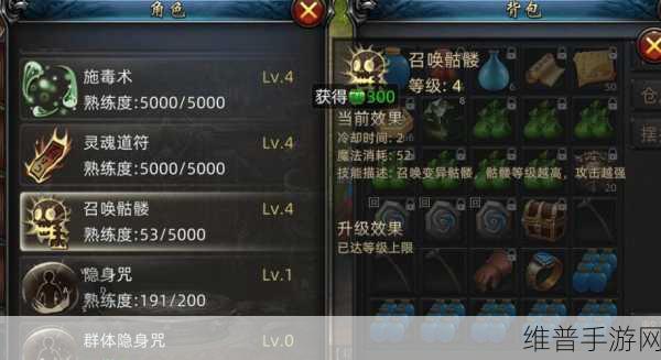 传奇世界道士技能全解析，掌握多元技能，驰骋游戏世界