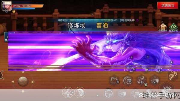 阿拉德之怒召唤师技能全解析，掌握精灵与怪兽的力量