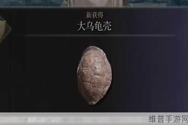 艾尔登法环深度攻略，大乌龟壳的获取方法与实战应用