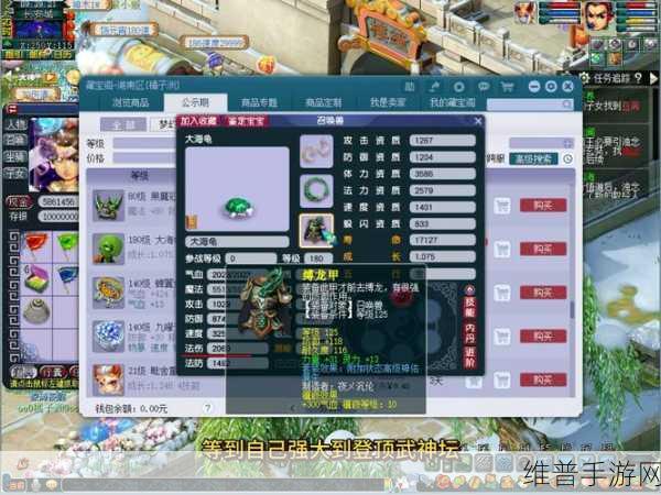艾尔登法环深度攻略，大乌龟壳的获取方法与实战应用