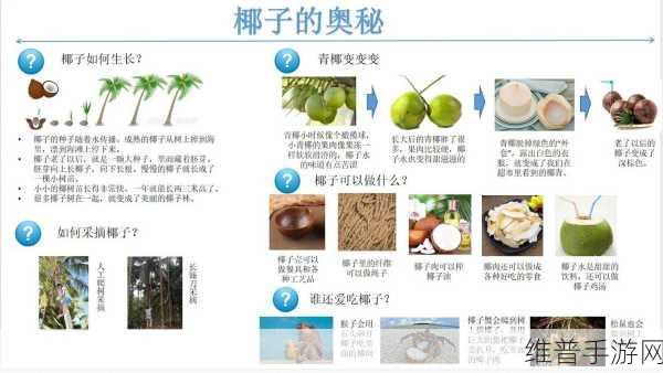 创造吧我们的星球，探索椰子的奇妙之旅