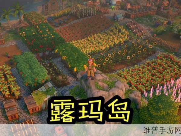 露玛岛全露玛蛋位置详尽攻略指南