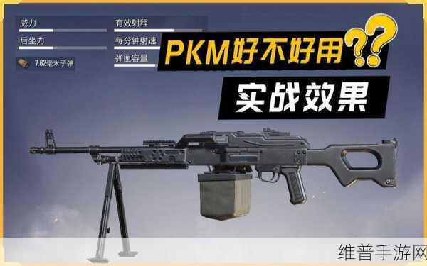 和平精英S22赛季新爆料深度解读，PKM轻机枪强度全面解析