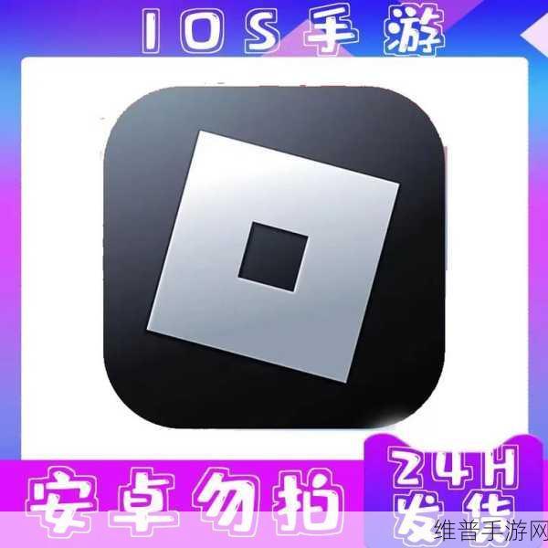 罗布乐思手游账号改名全攻略，轻松掌握更名方法