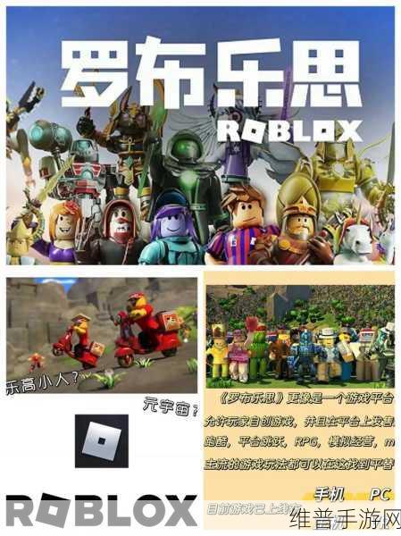 罗布乐思手游账号改名全攻略，轻松掌握更名方法
