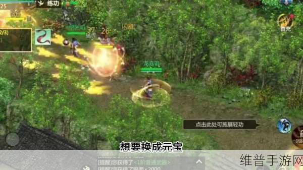 剑侠世界3赚钱秘籍，全面解析搬砖赚钱攻略