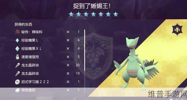 口袋妖怪复刻蜥蜴王性格深度解析与推荐
