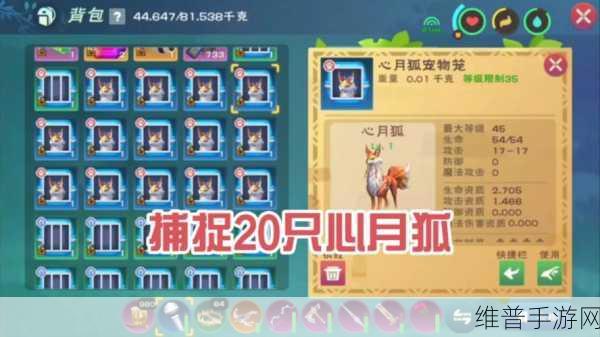 创造与魔法宠物狗饲养指南，揭秘它们爱吃什么