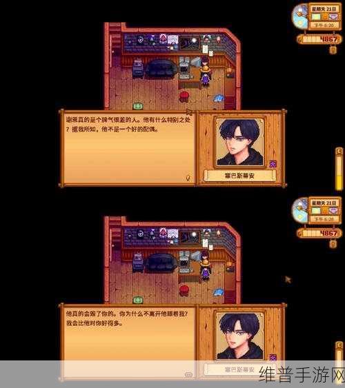 星露谷物语深度攻略，探寻塞巴斯蒂安的位置与故事