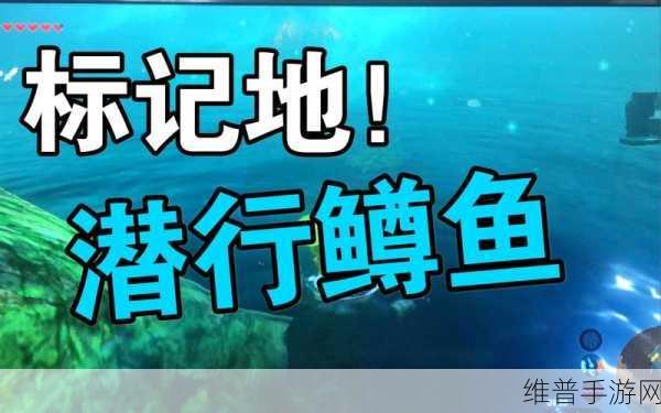 塞尔达传说王国之泪，潜行鳟鱼位置全攻略