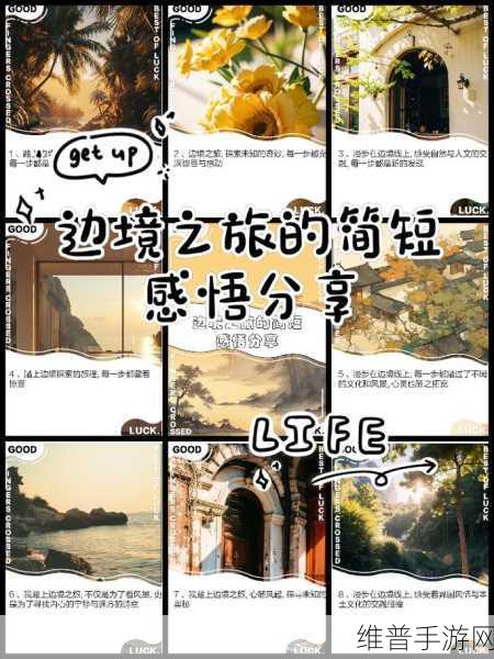 边境之旅蘑菇寻觅指南，解锁珍稀食材的秘密
