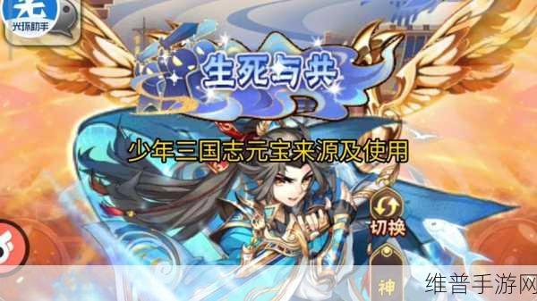 新手必看！少年三国志元宝使用攻略大揭秘