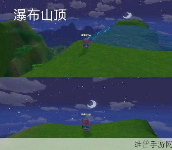 摩尔庄园探秘，神秘花蕊引领的隐藏秘密奇妙旅程全攻略