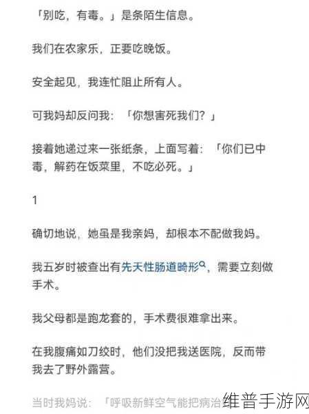 汉字工坊细思极恐1，全面攻略与深度解析