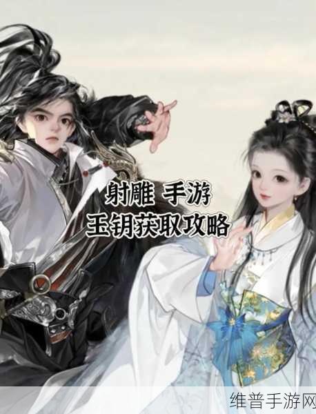 射雕手游姻缘扣收集全攻略，解锁浪漫情缘的必备道具