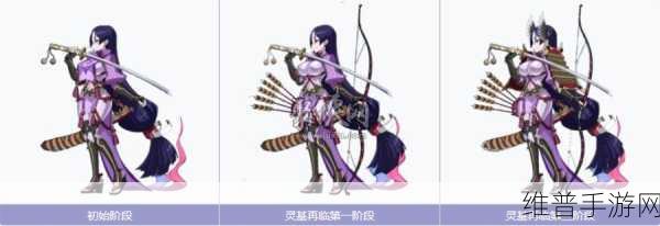 FGO骑小莫技能宝具深度剖析，强度评估与实战策略
