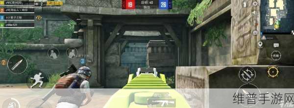 和平精英攻略，解锁萌趣颜团子的详细步骤与技巧