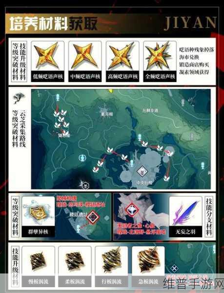 鸣潮手游攻略，深度解析凌阳共鸣链选择策略