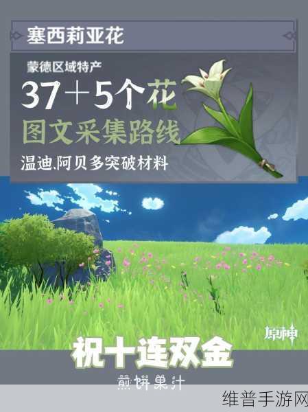 原神玩家必看，塞西莉亚花获取全攻略