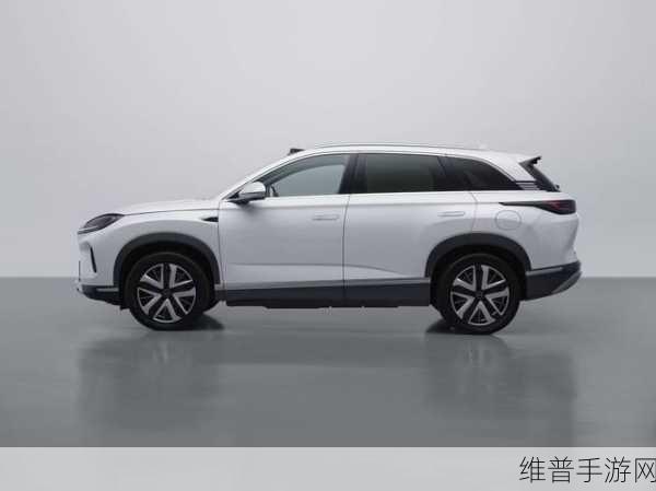 海狮07 DM-P申报图惊艳登场，激光雷达技术引领手游性能新纪元
